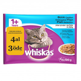 4 Adet Ton Balıklı Yetişkin Pouch 100 Gr | Yetişkin Kedi Maması 4 Adet Ton Balıklı Yetişkin Pouch 100 Gr | Yetişkin Kedi Maması