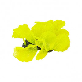 12,5x10x8 Cm Mantar | Akvaryum Yapay Bitki