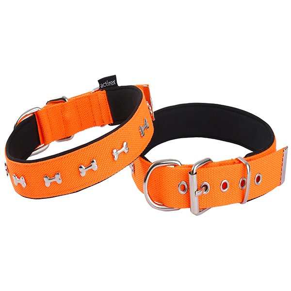 Actirex 2.5x37-45 Cm Neon Kemik Desenli Boyun Tasması Turuncu S | Köpek Boyun Tasması