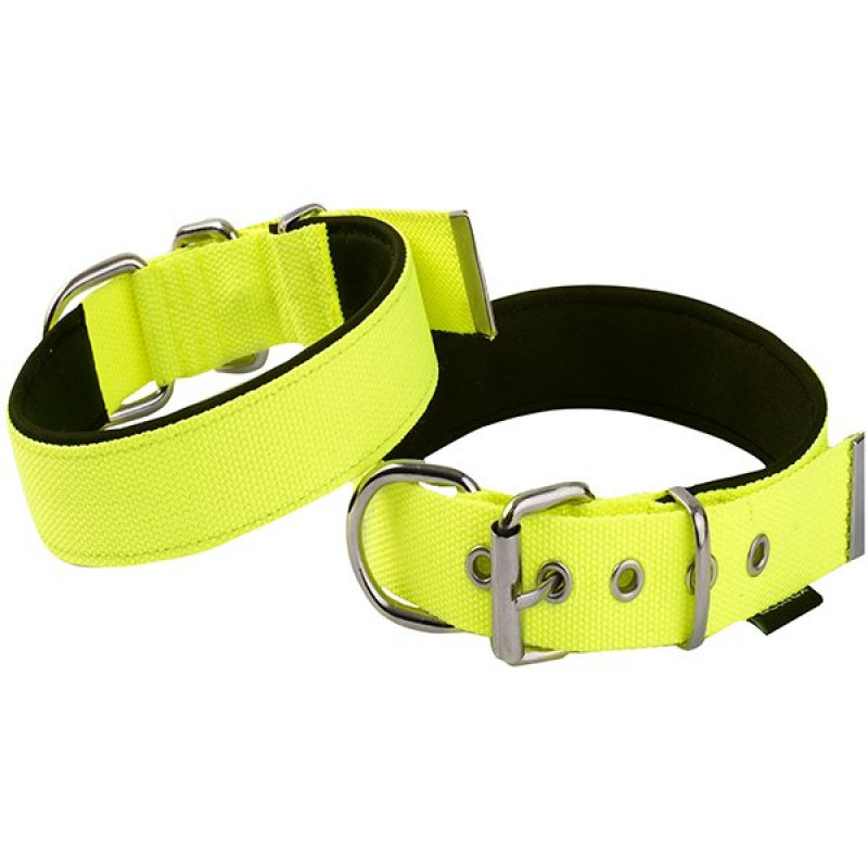 Actirex 2.5x42-50 Cm Neon Boyun Tasması Sarı M | Köpek Boyun Tasması Actirex 2.5x42-50 Cm Neon Boyun Tasması Sarı M | Köpek Boyun Tasması