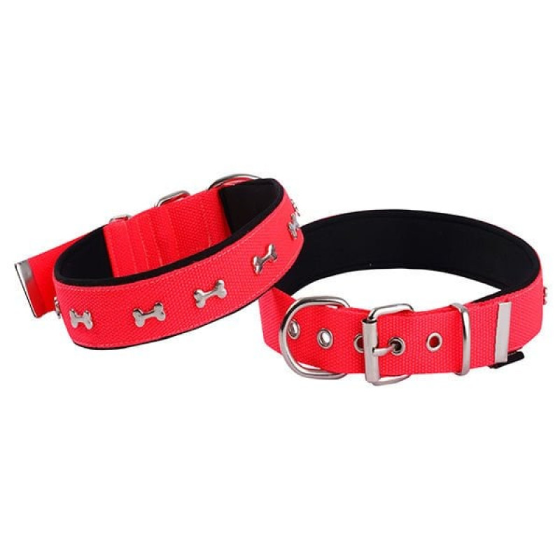 Actirex 2x35-40 Cm Neon Kemik Desenli Boyun Tasması Kırmızı M | Köpek Boyun Tasması Actirex 2x35-40 Cm Neon Kemik Desenli Boyun Tasması Kırmızı M | Köpek Boyun Tasması