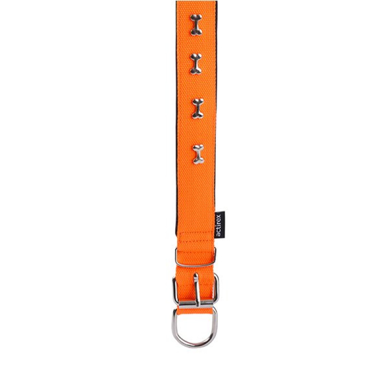 Actirex 3x47-55 Cm Neon Kemik Desenli Boyun Tasması Turuncu L | Köpek Boyun Tasması