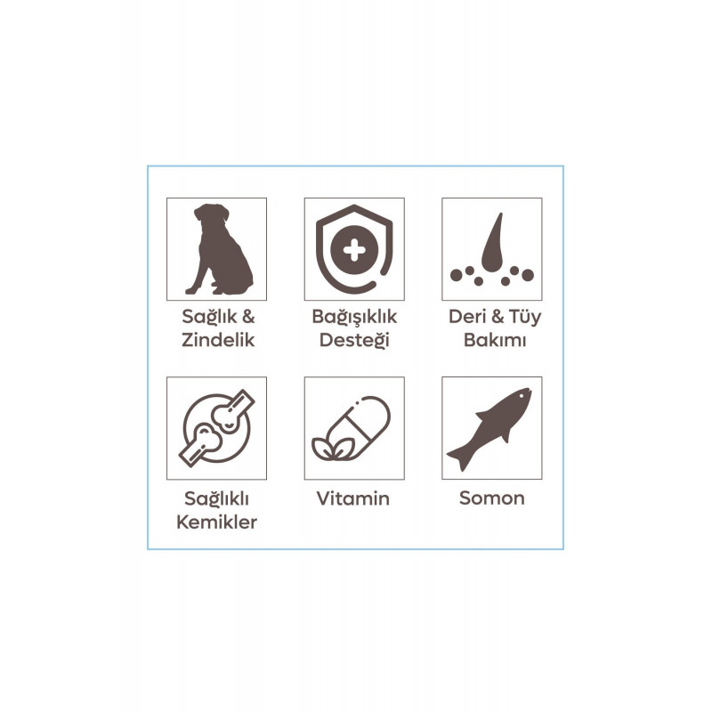 Animal World Derma Care 15 Kg Somonlu ve Pirinçli Yetişkin Köpek Maması