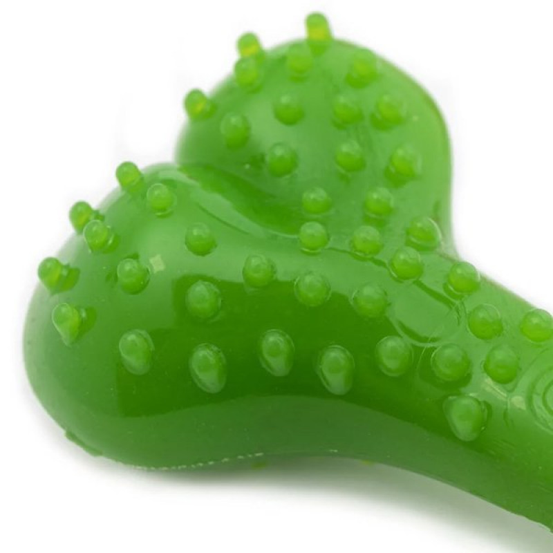Aquael Comfy 12.5 Cm Dental Naneli Diş Kaşıyıcı Kemik Yeşil | Köpek Çiğneme