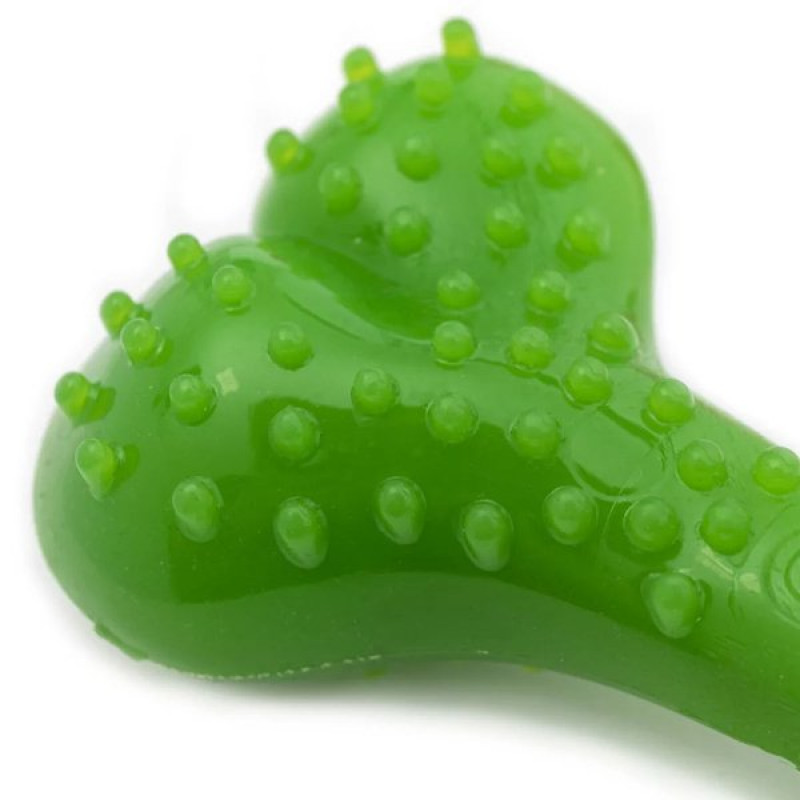 Aquael Comfy 8.5 Cm Dental Naneli Diş Kaşıyıcı Kemik Yeşil | Köpek Çiğneme