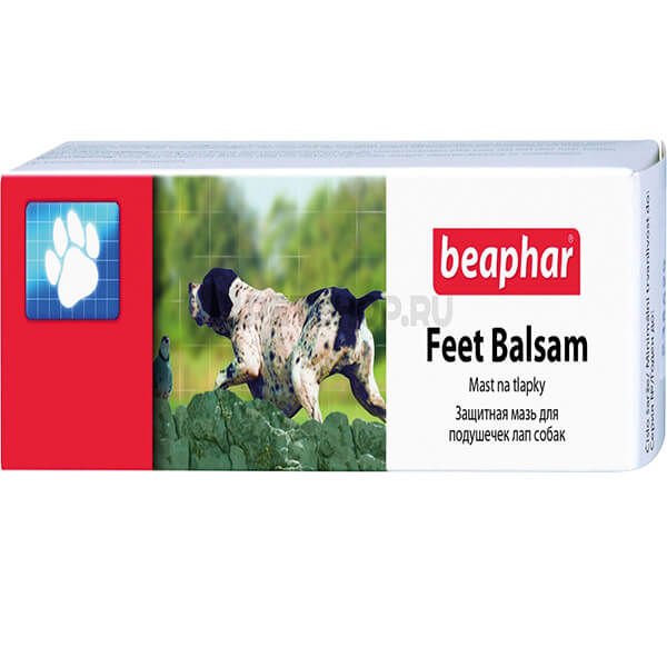 Beaphar 40 mL Feet Balsam | Köpek Tırnak Ve Pati Bakım Ürünü