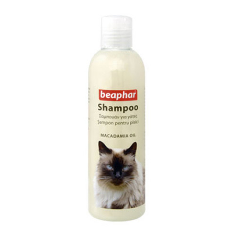 Beaphar 250 Ml Şampuan Macadamia Oil for Cats | Kedi Şampuanı Beaphar 250 Ml Şampuan Macadamia Oil for Cats | Kedi Şampuanı