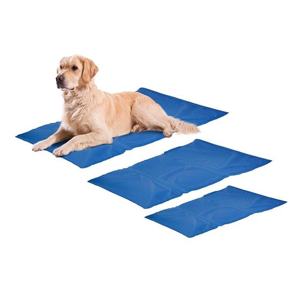 Beeztees 100x60 Cm Soğutucu Mat Mavi | Köpek Serilnetici Yatak