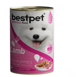 400 Gr Kuzu Jöleli Yavru | Tavru Köpek Konservesi 400 Gr Kuzu Jöleli Yavru | Tavru Köpek Konservesi