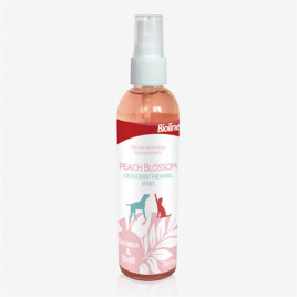 118 Ml Parfüm Peach Blossom | Köpek Leke Ve Koku Giderici