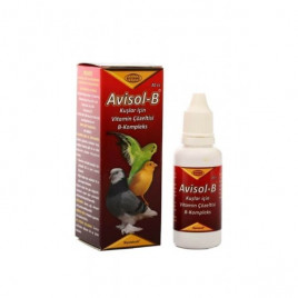 30 Cc Avisol-B Tüy Dökülmesi İçin Vitamin | Kuş İlacı 30 Cc Avisol-B Tüy Dökülmesi İçin Vitamin | Kuş İlacı