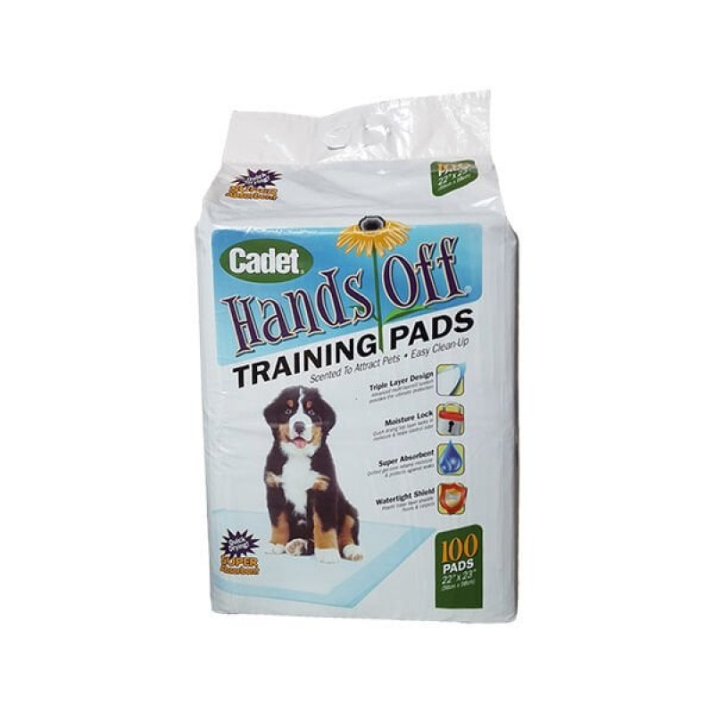 Cadet 100'lü Tuvalet Alıştırma Pedi 56x58 Cm | Köpek Çiş Alıştırma Pedi Cadet 100'lü Tuvalet Alıştırma Pedi 56x58 Cm | Köpek Çiş Alıştırma Pedi