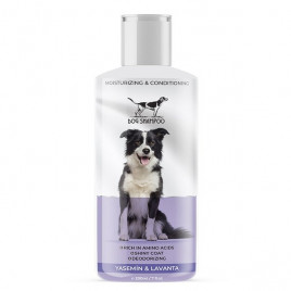 Catieda 200 mL Lavanta Kokulu Şampuan | Köpek Şampuanı