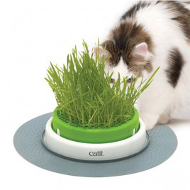 Catıt Senses 2.0 Grass Planter Kedi Çim Seti | Kedi Çimi Catıt Senses 2.0 Grass Planter Kedi Çim Seti | Kedi Çimi