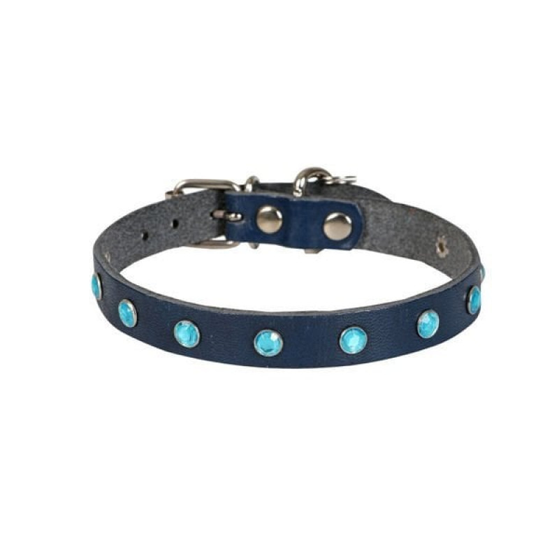 Cattie L Gerçek Deri Taşlı Boyun Tasması Royal Mavi 1.2x23-28 Cm | Kedi Boyun Tasması Cattie L Gerçek Deri Taşlı Boyun Tasması Royal Mavi 1.2x23-28 Cm | Kedi Boyun Tasması