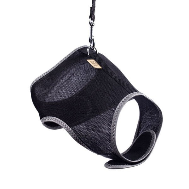 Cattie L Havalı Dokuma Göğüs ve Gezdirme Takımı Siyah 1.5x30-40 Cm | Kedi Gezdirme Tasması