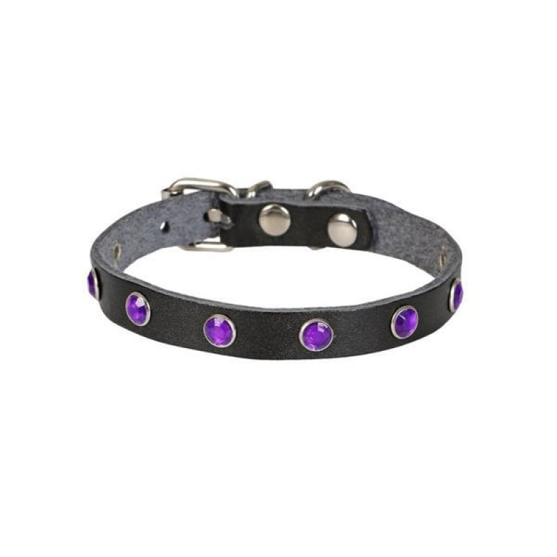 Cattie M Gerçek Deriden Taşlı Boyun Tasması Siyah 1x20-23 Cm | Kedi Boyun Tasması Cattie M Gerçek Deriden Taşlı Boyun Tasması Siyah 1x20-23 Cm | Kedi Boyun Tasması