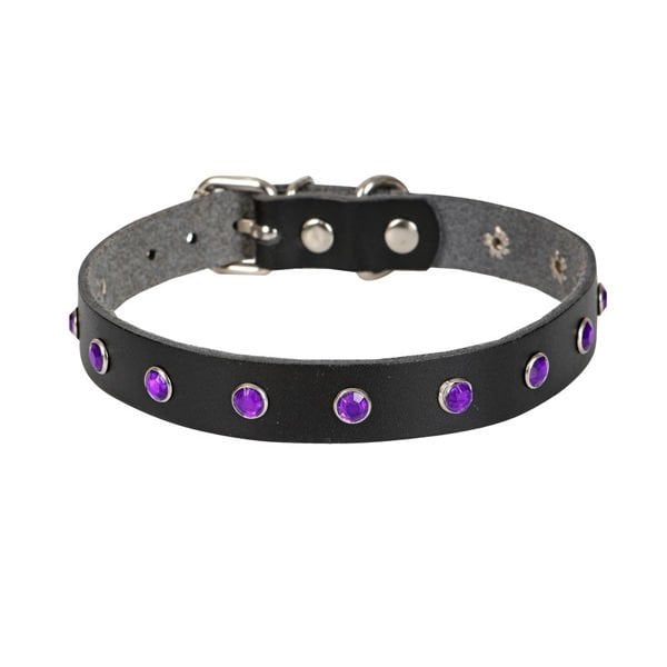 Cattie XL Gerçek Deri Taşlı Boyun Tasması Siyah 1.5x26-31 Cm | Kedi Boyun Tasması