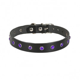 XXL Gerçek Deri Taşlı Boyun Tasması Siyah 1.5x27-33 Cm | Kedi Boyun Tasması