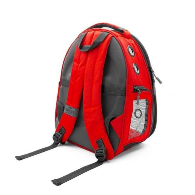 Cattie Şeffaf Kedi ve Küçük Irk Köpek Taşıma Sırt Çantası Kırmızı 25x30x40 Cm | Köpek Taşıma Çantası Ve Kafes