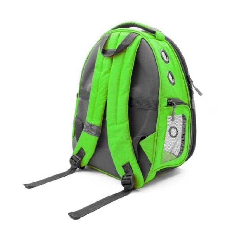 Cattie Şeffaf Kedi ve Küçük Irk Köpek Taşıma Sırt Çantası Yeşil 25x30x40 Cm | Kedi Taşıma Çantası