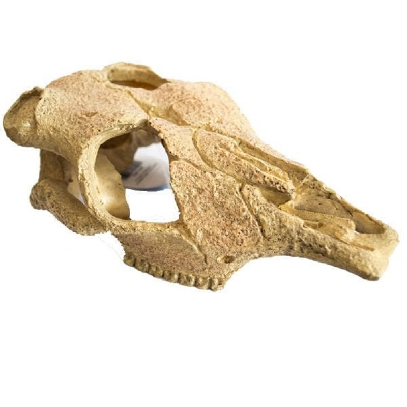 Chicos 16,5x10,5x12 Cm Kuru Kafa | Akvaryum Dekor Fon Chicos 16,5x10,5x12 Cm Kuru Kafa | Akvaryum Dekor Fon