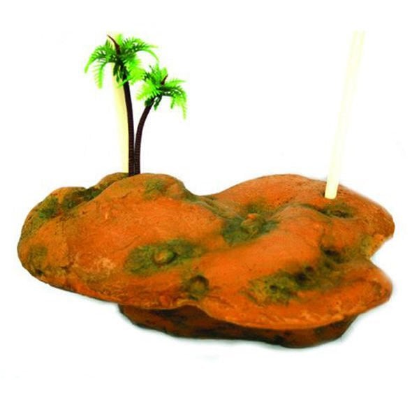 Chicos Yüzen Kaplumbağa Adası | Kaplumbağa Adası