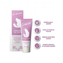 100 Gr Sterilised Paste | Kedi Vitamini 100 Gr Sterilised Paste | Kedi Vitamini