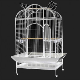 Dayang 132x102x186 Cm Tekerlekli Ayak Papağan Kafesi Beyaz | Kuş Kafesi Dayang 132x102x186 Cm Tekerlekli Ayak Papağan Kafesi Beyaz | Kuş Kafesi