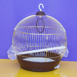 Dayang 39X42 Cm Dayanıklı ve Rahat Oval Büyük Kafes Kahverengi Sarı | Kuş Kafesi Dayang 39X42 Cm Dayanıklı ve Rahat Oval Büyük Kafes Kahverengi Sarı | Kuş Kafesi