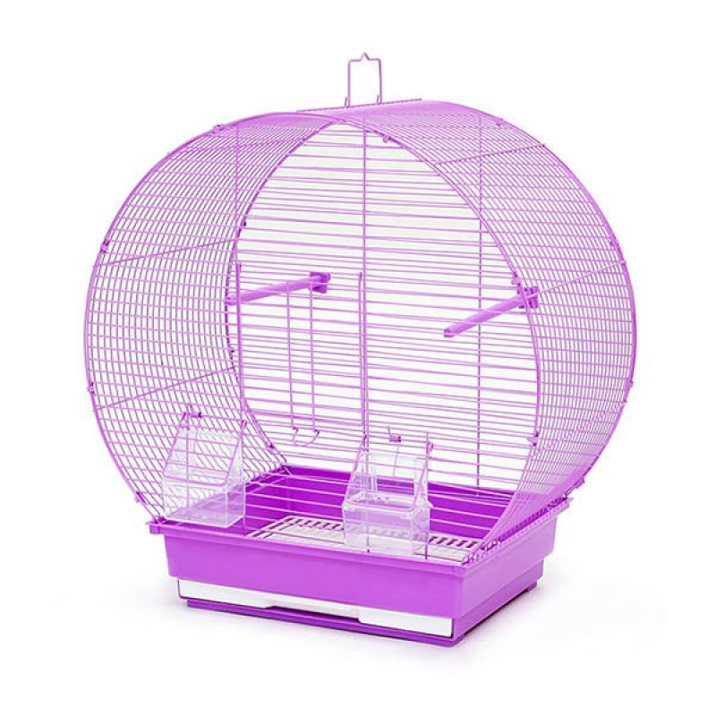 Dayang 47x24x50 Cm Oval Şekilli Geniş Kafes | Kuş Kafesi Dayang 47x24x50 Cm Oval Şekilli Geniş Kafes | Kuş Kafesi