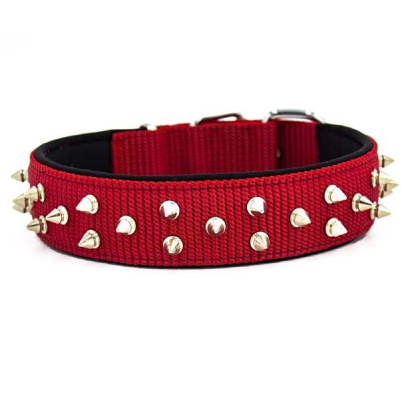 Doggie 4x65 CmComfort Dokuma Bol Çivili Boyun Tasması Large Kırmızı | Köpek Boyun Tasması Doggie 4x65 CmComfort Dokuma Bol Çivili Boyun Tasması Large Kırmızı | Köpek Boyun Tasması