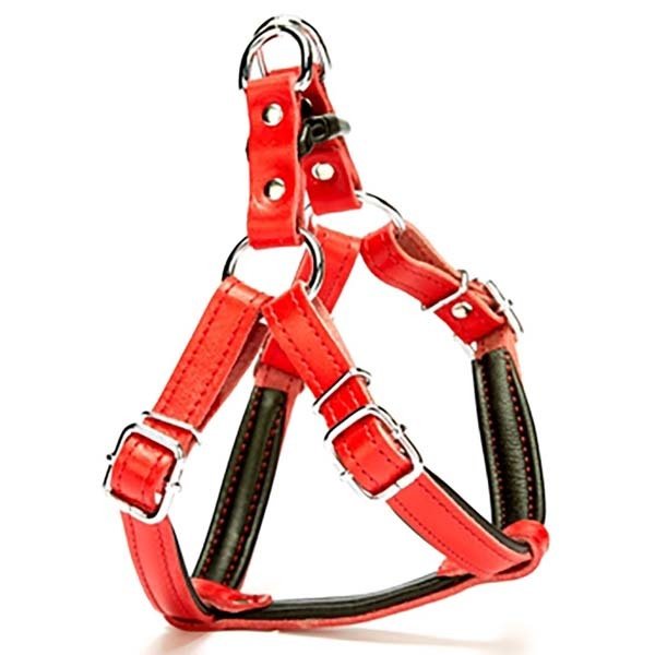 Doggie 1,5x45 Cm Fırstclass Deri Ronın Göğüs Tasması Small Kırmızı | Köpek Göğüs Tasması