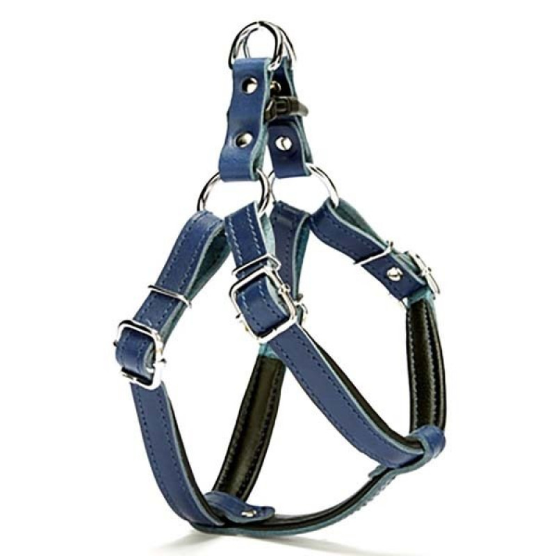 Doggie 1,5x45 Cm Fırstclass Deri Ronın Göğüs Tasması Small Mavi | Köpek Göğüs Tasması Doggie 1,5x45 Cm Fırstclass Deri Ronın Göğüs Tasması Small Mavi | Köpek Göğüs Tasması