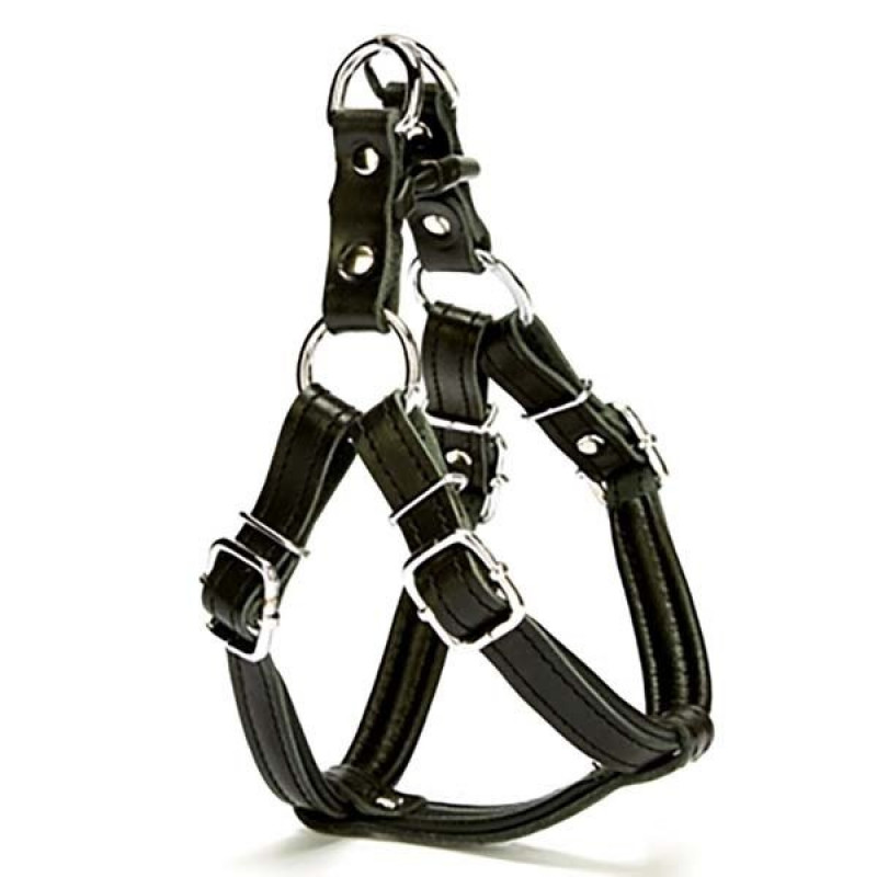 Doggie 1,5x45 Cm Fırstclass Deri Ronın Göğüs Tasması Xsmall Siyah | Köpek Göğüs Tasması Doggie 1,5x45 Cm Fırstclass Deri Ronın Göğüs Tasması Xsmall Siyah | Köpek Göğüs Tasması