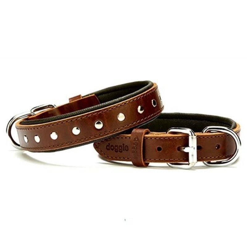 Doggie 2.5x45 Cm Comfort Deri Rivetli Boyun Tasması Medium Kahverengi | Köpek Boyun Tasması Doggie 2.5x45 Cm Comfort Deri Rivetli Boyun Tasması Medium Kahverengi | Köpek Boyun Tasması