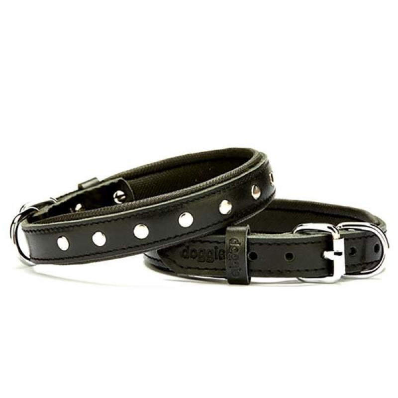 Doggie 2x35 Cm Comfort Deri Rivetli Boyun Tasması Small Siyah | Köpek Boyun Tasması Doggie 2x35 Cm Comfort Deri Rivetli Boyun Tasması Small Siyah | Köpek Boyun Tasması