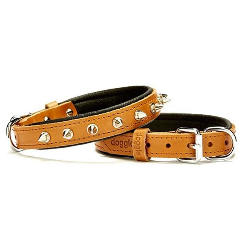 Doggie 2x35 Cm Comfort Deri Çivili Boyun Tasması Small Camel | Köpek Boyun Tasması Doggie 2x35 Cm Comfort Deri Çivili Boyun Tasması Small Camel | Köpek Boyun Tasması