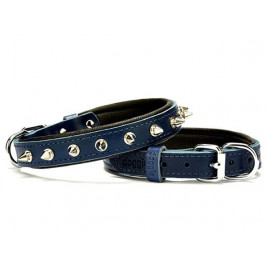 2x40 Cm Comfort Deri Çivili Boyun Tasması Medium Mavi | Köpek Boyun Tasması