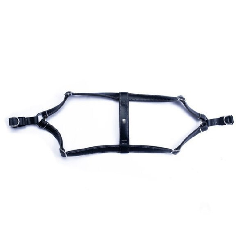 Doggie 2x45 55 Cm Konfor Ronin Deri Göğüs Tasması Siyah | Köpek Göğüs Tasması Doggie 2x45 55 Cm Konfor Ronin Deri Göğüs Tasması Siyah | Köpek Göğüs Tasması