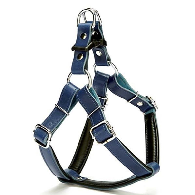 Doggie 2x55 Cm Fırstclass Deri Ronın Göğüs Tasması Medium Mavi | Köpek Göğüs Tasması Doggie 2x55 Cm Fırstclass Deri Ronın Göğüs Tasması Medium Mavi | Köpek Göğüs Tasması