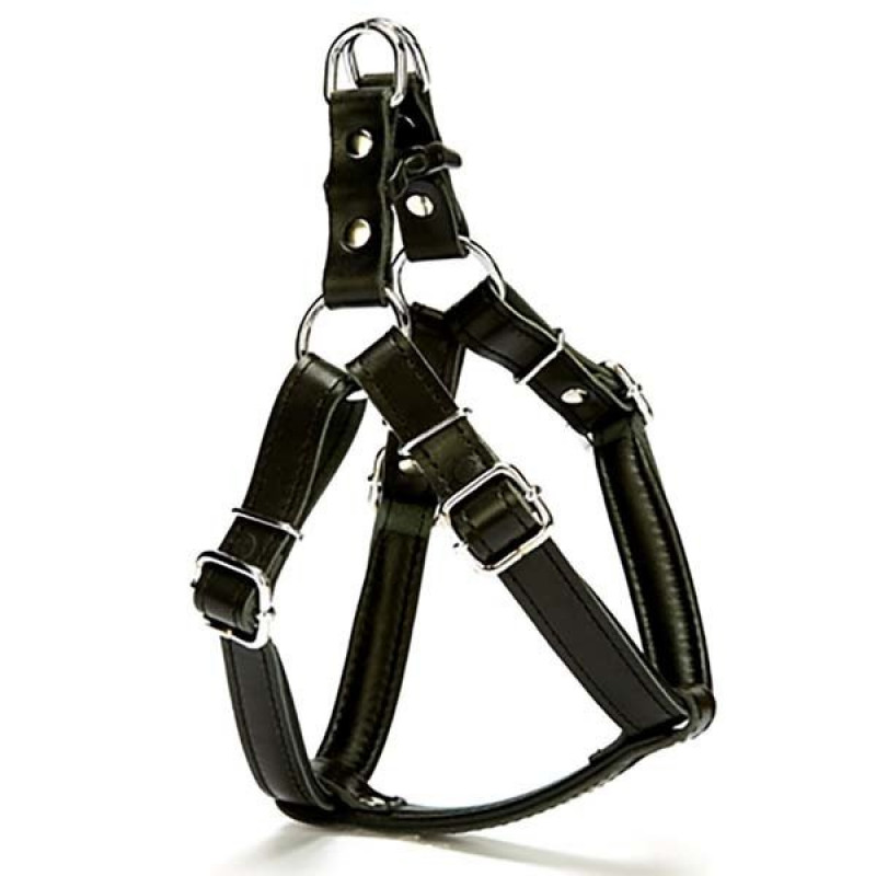 Doggie 2x55 Cm Fırstclass Deri Ronın Göğüs Tasması Medium Siyah | Köpek Göğüs Tasması Doggie 2x55 Cm Fırstclass Deri Ronın Göğüs Tasması Medium Siyah | Köpek Göğüs Tasması