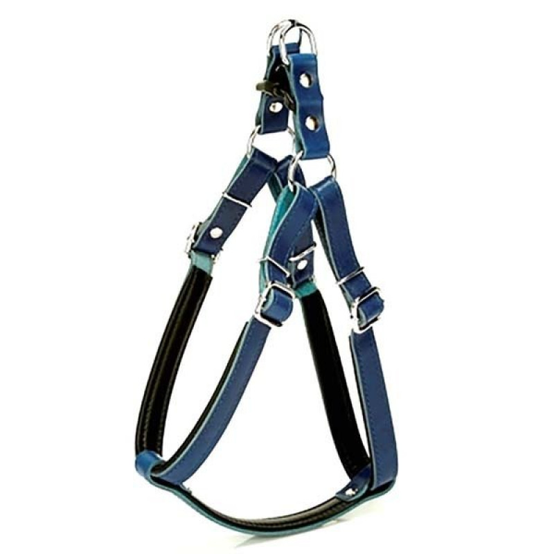 Doggie 2x65 Cm Fırstclass Deri Ronın Göğüs Tasması Large Mavi | Köpek Göğüs Tasması Doggie 2x65 Cm Fırstclass Deri Ronın Göğüs Tasması Large Mavi | Köpek Göğüs Tasması