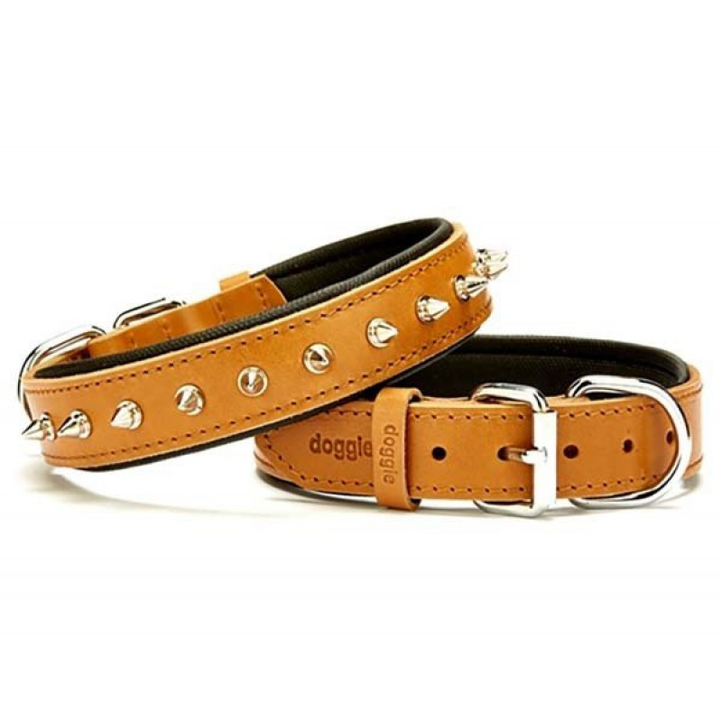 Doggie 3x50 Cm Comfort Deri Çivili Boyun Tasması Medium Camel | Köpek Boyun Tasması Doggie 3x50 Cm Comfort Deri Çivili Boyun Tasması Medium Camel | Köpek Boyun Tasması