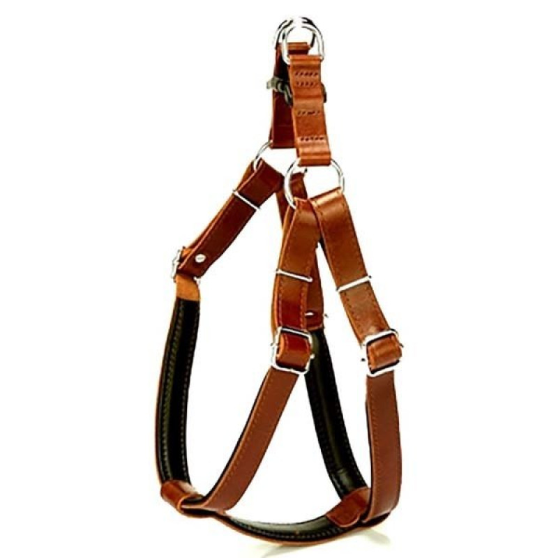 Doggie 3x80 Cm Fırstclass Deri Ronın Göğüs Tasması XxLarge Kahverengi | Köpek Göğüs Tasması Doggie 3x80 Cm Fırstclass Deri Ronın Göğüs Tasması XxLarge Kahverengi | Köpek Göğüs Tasması