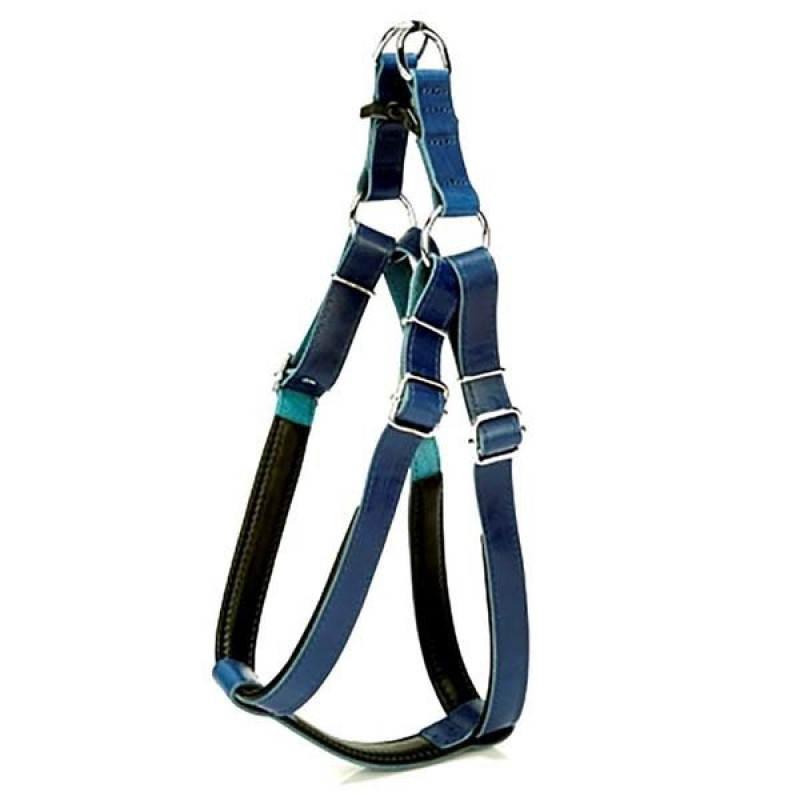 Doggie 3x80 Cm Fırstclass Deri Ronın Göğüs Tasması XxLarge Mavi | Köpek Göğüs Tasması Doggie 3x80 Cm Fırstclass Deri Ronın Göğüs Tasması XxLarge Mavi | Köpek Göğüs Tasması