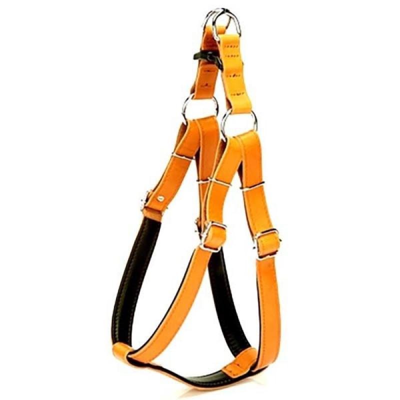 Doggie 3x80 CmFırstclass Deri Ronın Göğüs Tasması XxLarge Camel | Köpek Göğüs Tasması Doggie 3x80 CmFırstclass Deri Ronın Göğüs Tasması XxLarge Camel | Köpek Göğüs Tasması