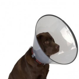 Comfort Elizabeth Yakalığı Standı | Köpek Medikal Ürün