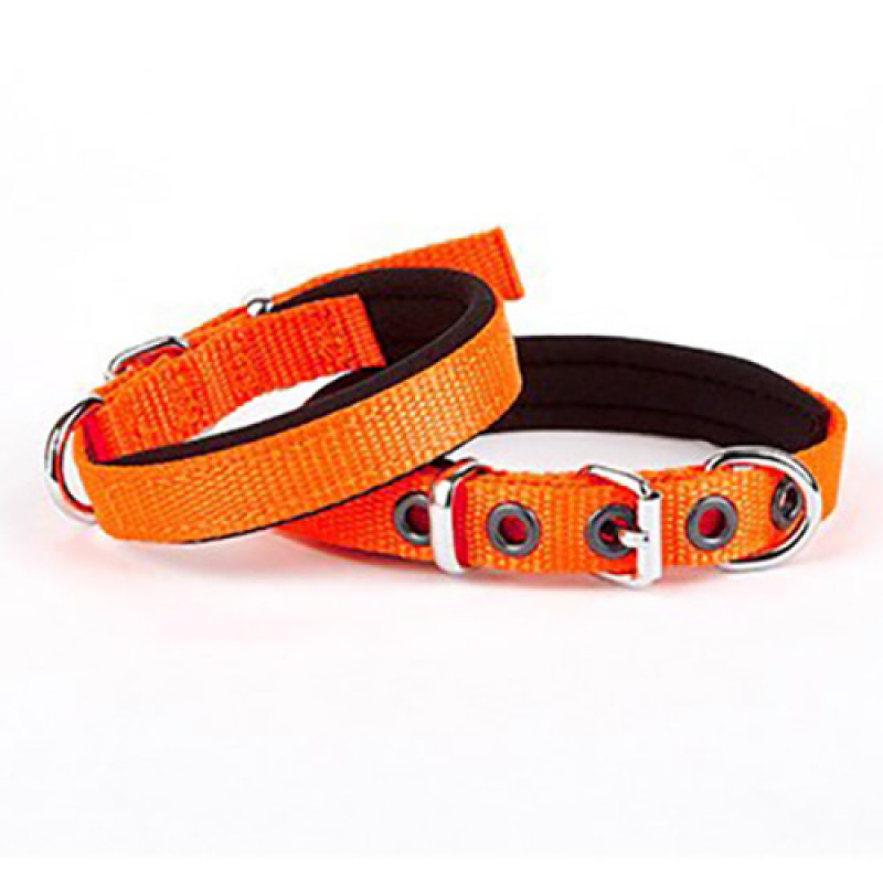 Doggie 1,5x20 25 Cm Konfor Dokuma Boyun Tasması Turuncu | Köpek Boyun Tasması Doggie 1,5x20 25 Cm Konfor Dokuma Boyun Tasması Turuncu | Köpek Boyun Tasması