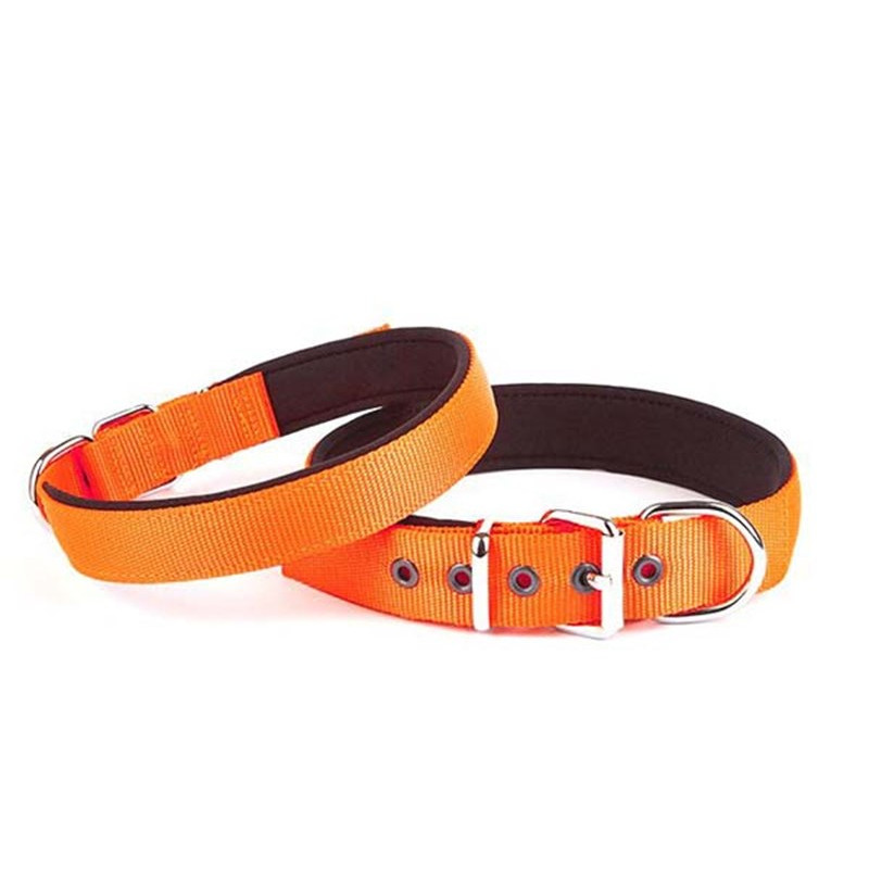 Doggie 3x42 50 Cm Konfor Dokuma Sade Boyun Tasması Turuncu | Köpek Boyun Tasması Doggie 3x42 50 Cm Konfor Dokuma Sade Boyun Tasması Turuncu | Köpek Boyun Tasması